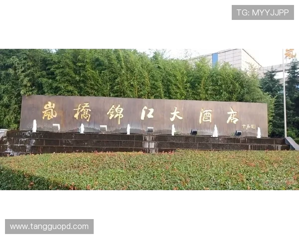 大连直播视频：海滨城市的实时动态与精彩瞬间